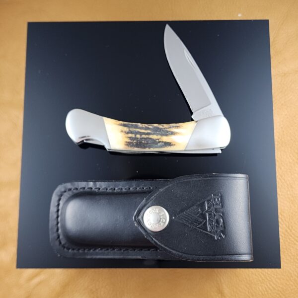 Buck 500 Lockback Folder With Sheath In Beautiful Stag 