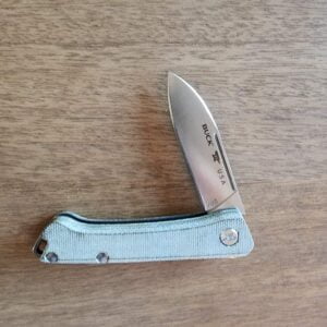 BUCK 0250GRS-B SAUNTER CAT 13478 knives for sale