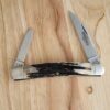Great Eastern Cutlery Easy Pocket Congress Knife with Sambar Stag handles # 620220 knife for sale