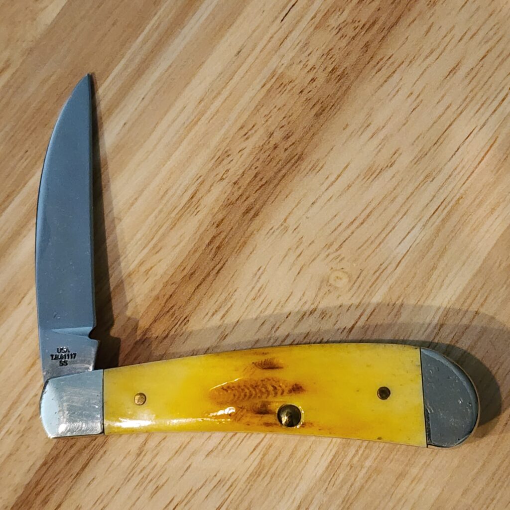 Case Goldenrod Sway Back TB117 – gallery image 2