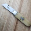 Great Eastern Cutlery #363122 India Smooth Bone knife for sale