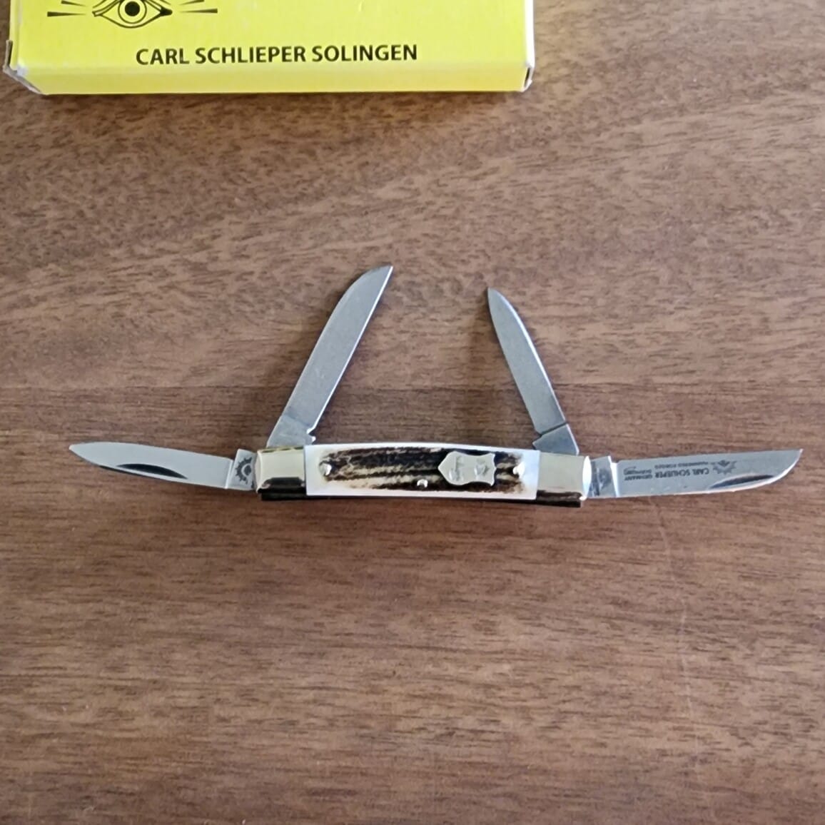 Carl Schlieper Solingen Germany 4 Blade Stag Mini Congress For