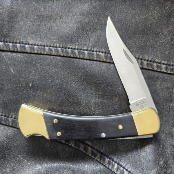 Buck 110 Folding Hunter Knife - Ebony  ELMAX 0110BRS15-B