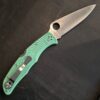 Spyderco Endura Mint FRN CPMM4 C10FPGRM4