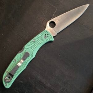 Spyderco Endura Mint FRN CPMM4 C10FPGRM4