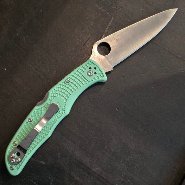 Spyderco Endura Mint FRN CPMM4 C10FPGRM4