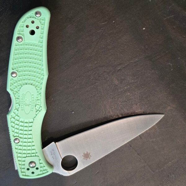 Spyderco Endura Mint FRN CPMM4 C10FPGRM4