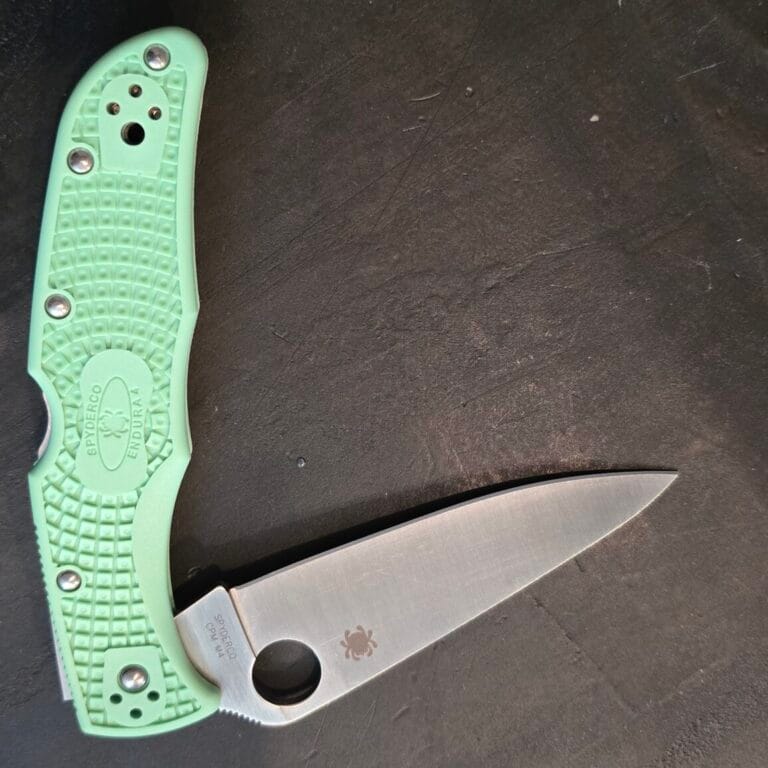 Spyderco Endura Mint FRN CPMM4 C10FPGRM4