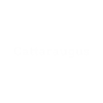 Cattaraugus