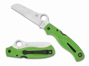 Spyderco c89fpgr Atlantic Green knife for sale