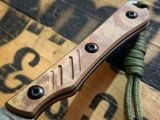 Smith & Sons SHOAL Fixed Blade in Marshgrass Richlite with Kydex Sheath knives for sale