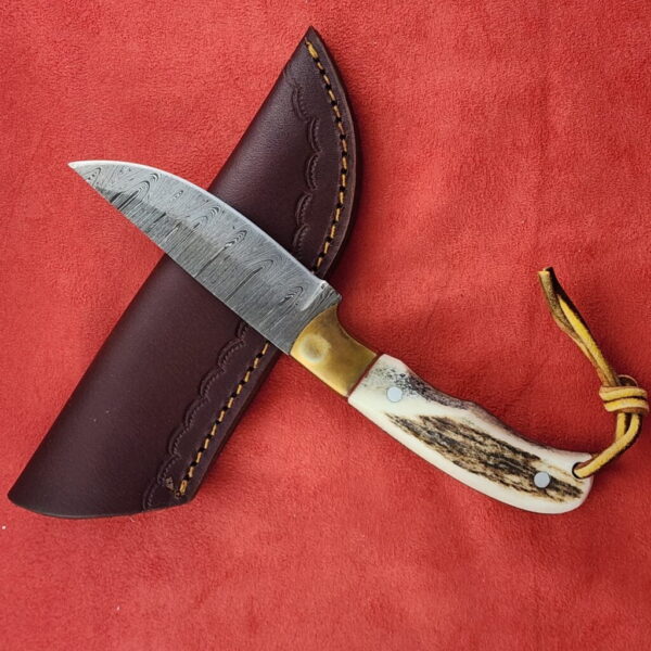 Stag and Damascus Fixed blade with Leather Sheath – gallery image 1