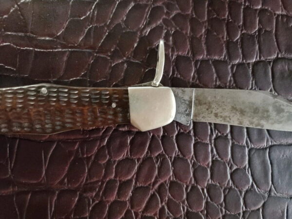 1920 Western States Large Swell Center Hunter in Bone Lever Lock RARE - Image 4