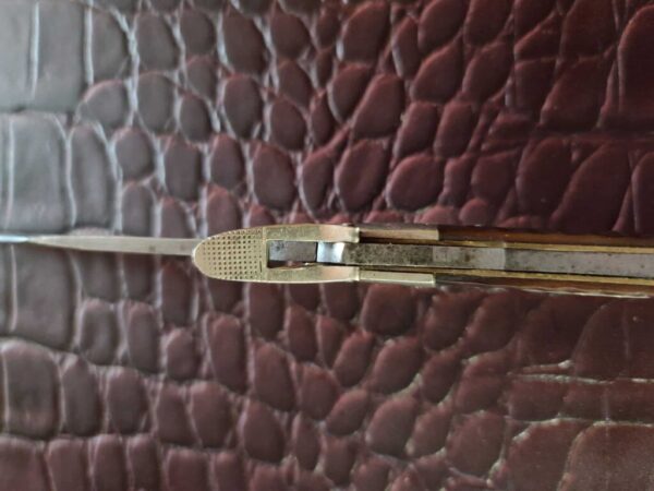 1920 Western States Large Swell Center Hunter in Bone Lever Lock RARE - Image 5