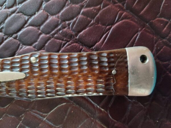 1920 Western States Large Swell Center Hunter in Bone Lever Lock RARE - Image 3