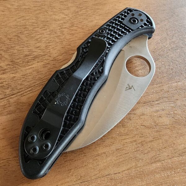 SPYDERCO C106SBK2 TASMAN SALT 2 LV - Image 5