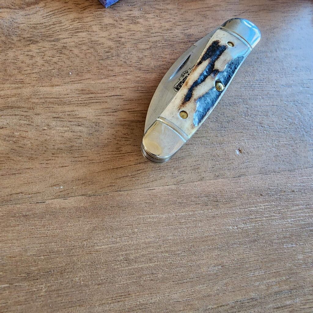 Great Eastern Cutlery #190120 Sambar Stag knife for sale