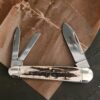 Great Eastern Cutlery #592322 Sambar Stag knife for sale