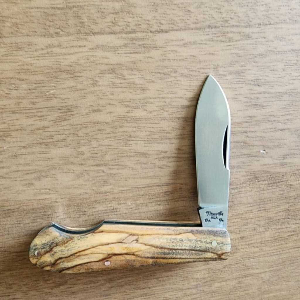 Titusville Cutlery 2024 Little Man Jack Holy Land Olivewood 1 of 35 – gallery image 4