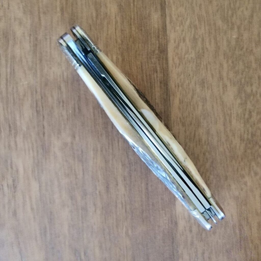 Great Eastern Cutlery #828318 Sambar Stag – gallery image 3