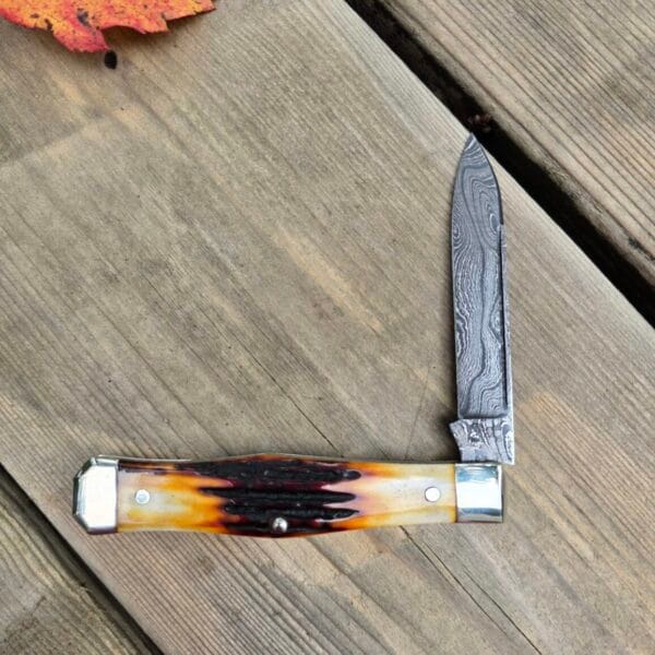 Titusville Cutlery Lexingtonian in Genuine Amber Stag and DAMASCUS by Daniels 2025 1 of 15