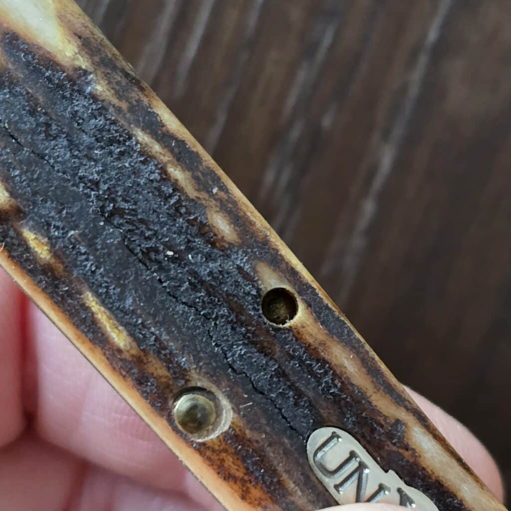 Great Eastern Cutlery #852111Stag Ben Hogan Spear Point in 1095 Carbon Steel – gallery image 5