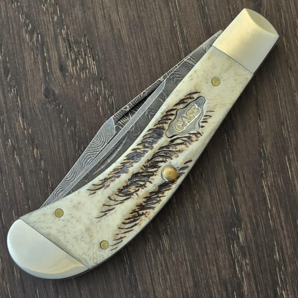Case XX USA Saddlehorn TBV6210 DAM in Bose Vintage Bone and Damascus No 77465 – gallery image 4