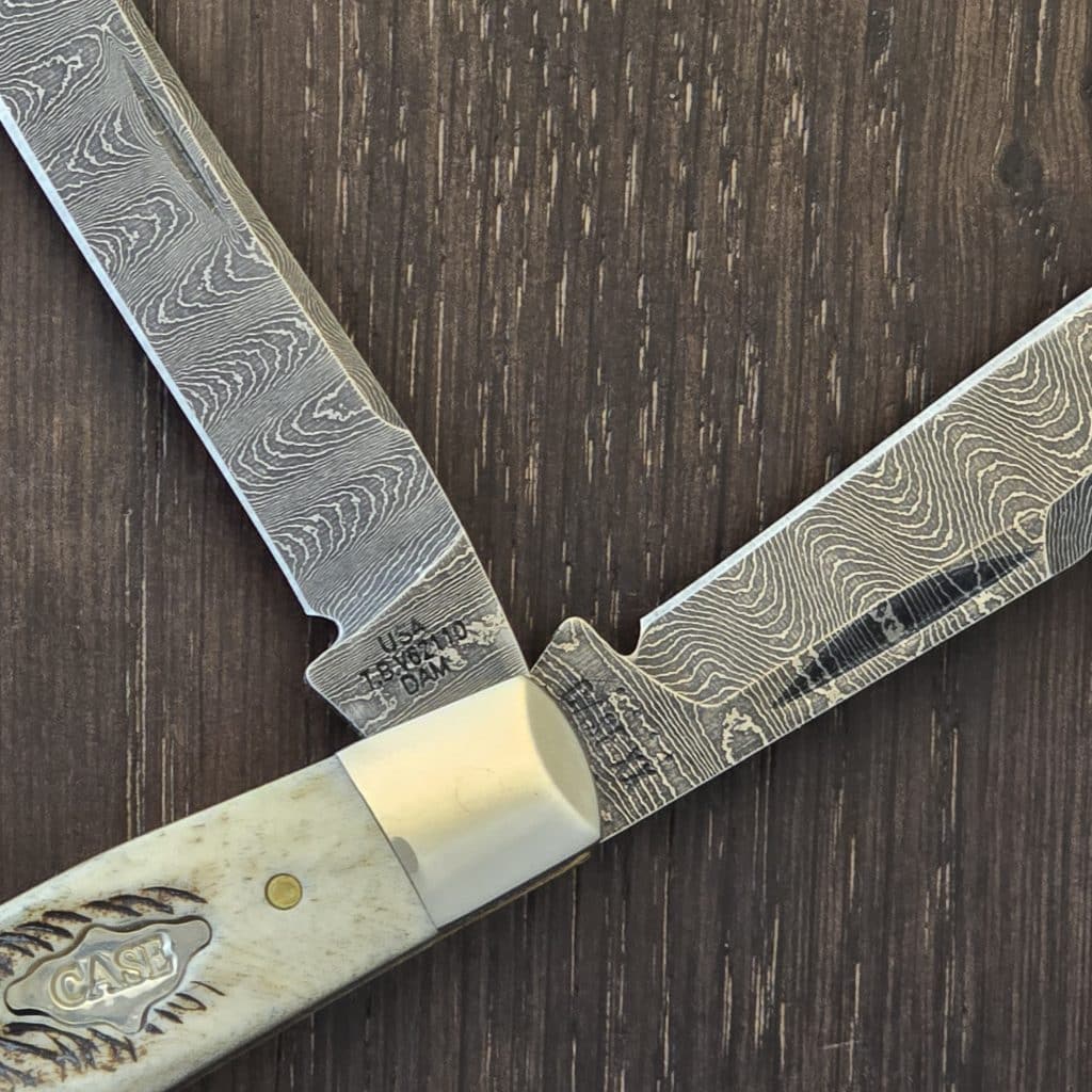 Case XX USA Saddlehorn TBV6210 DAM in Bose Vintage Bone and Damascus No 77465 – gallery image 3